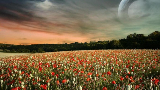 如何评价 Next.js？